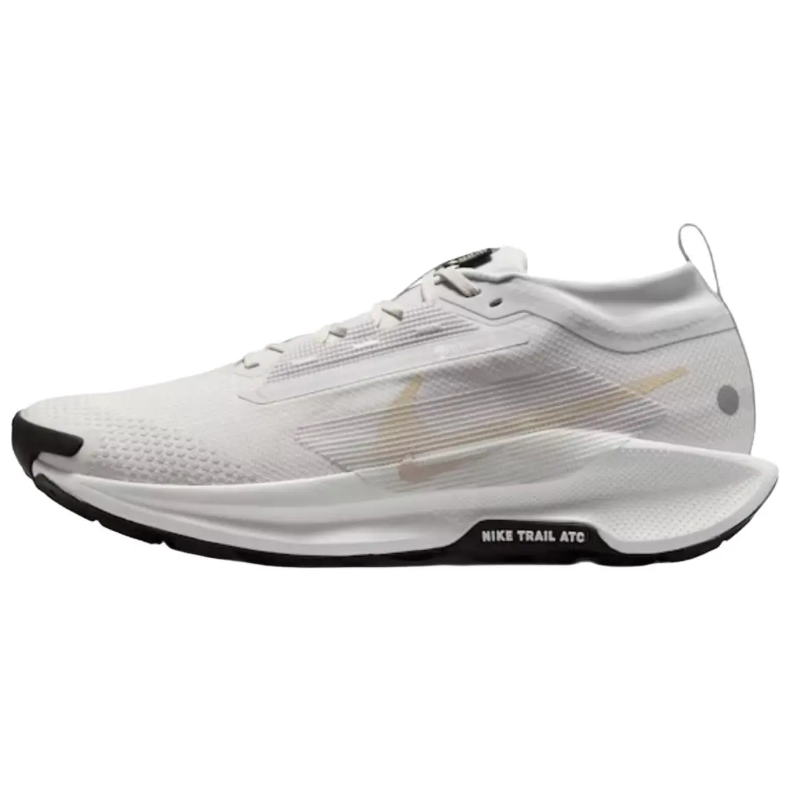 Nike Pegasus Trail 5 GORE-TEX 'Vast Grey Sanddrift' FQ0908-010