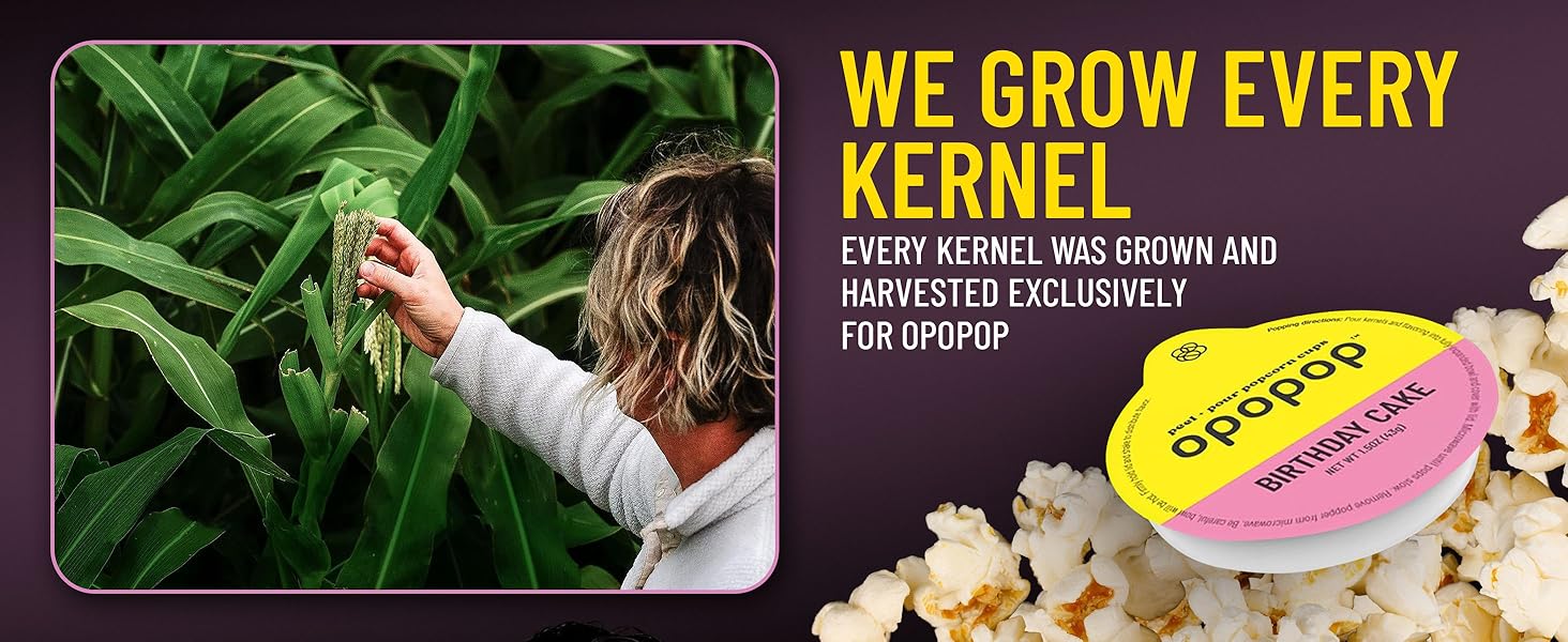 Microwave Popcorn Pop Cups Birthday Cake 6Pack, NonGMO Gourmet Popcorn Kernels Popcorn Flavoring, Gluten Free Snacks, Easy to Make and No Mess