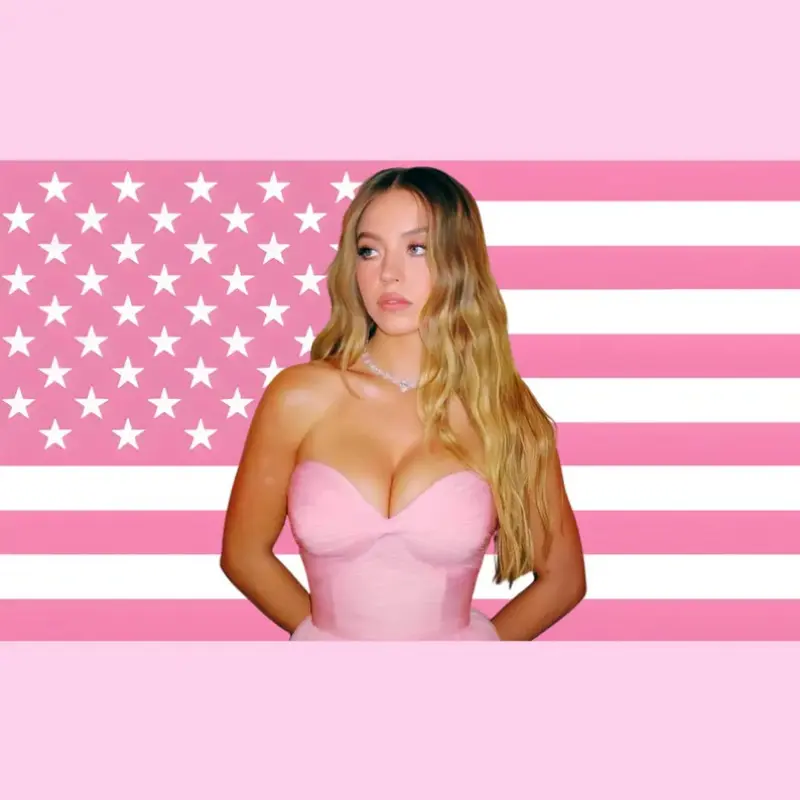 Sydney Sweeney Pink Aesthetic Wall Tapestry Flag Decor Euphoria Inspired Bedroom Banner, Viral Actress Room Poster, Bedroom Dorm Decor, Fan Room Polyester Tapestry, Decorative Tapestry