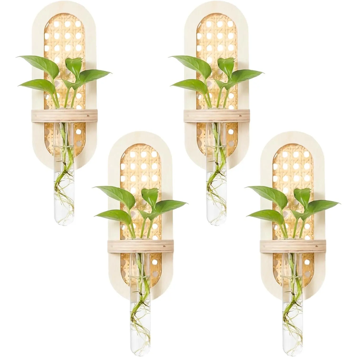 4 Pcs Wooden Rattan Wall Propagation Vases 8 Inch Wood Wall Vase Set Natural Boho Hanging Plant Flower Display for Hydroponics Plants Home Office Living Room Decor