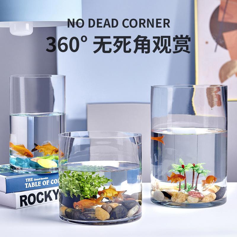 Ultra Clear Thickened Glass Cylindrical Fish Tank Living Room Home Floor Standing Vase Round Hydroponic Straight Tube
