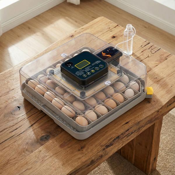 48H Pro 48-Egg Incubator 110V 85W Fully Automatic Egg Turner LED Candler Auto Temp Humidity Control Fahrenheit Display ABS PET Body Clear Lid Storage Compartment for Home Use Home