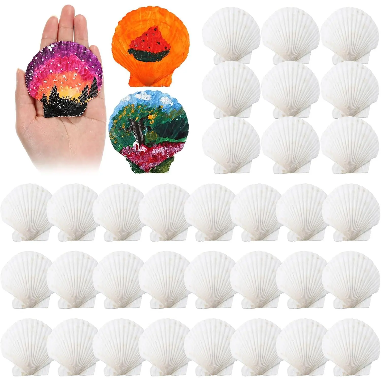 50 count Sea Shell for Crafting  Large  White Oyster Shells Bulk for Decorating DIY  Decor Beach Wedding  Themed Party(2.8''-3.1'')
