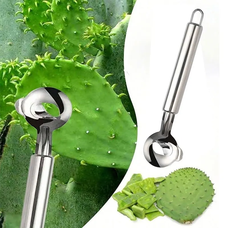Stainless Steel Cactus Peeler, Fruit Pulp Scoop, Aloe Vegetable Seed Remover, Multi-Functional Kitchen Tool, Easy-To-Use Design