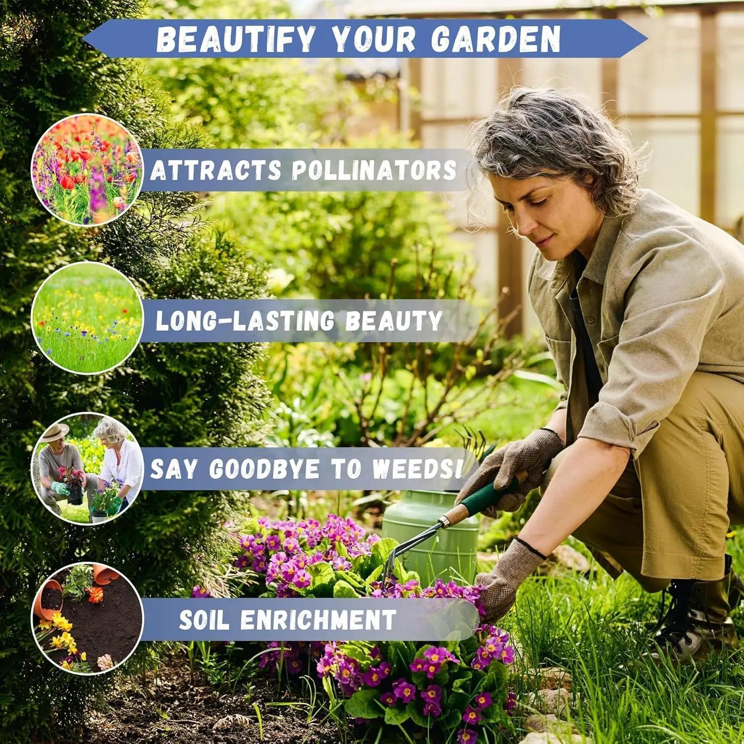 BestSellerTop300 Pcs Rare Twin Red White Rose Flower Seeds, Suitable for Small Gardens, Patios, Balconies & Indoor Cultivation, Low-Maintenance Outdoor Ornamental Flowers, Top Choice for Horticulture