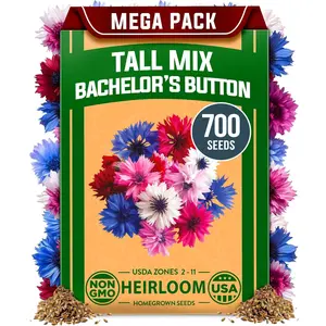 HOME GROWN Bachelor Button Flower Seeds Tall Mix 700+ Cornflower Heirloom Seeds for Planting - Quick Blooming, Non-GMO, Pollinator Friendly, Easy to Grow Wildflowers USA Grown (Centaurea cyanus)