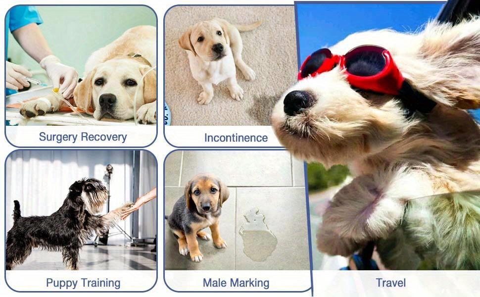 Belly Bands for Male Dogs 5 Pack Washable Dog Diapers Reusable Male Dog Pee Wraps with 5pcs Dog Diaper Liners for Doggie in Incontinence Or Excitable Urination And Training, XS/S/M/L/XL