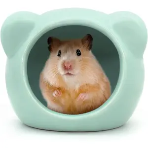 Ceramic Hamster House, Cute Animal Shaped Hamster Cave, Summer Cool Small Animal Hideout Habitat Decor for Dwarf Hamsters (Green)