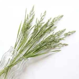 36/72pcs Rice Spike Dried Flower Embossed Real Leaf Plant Specimen Creative Handmade Decoration Bookmark Photo Frame Teaching Material