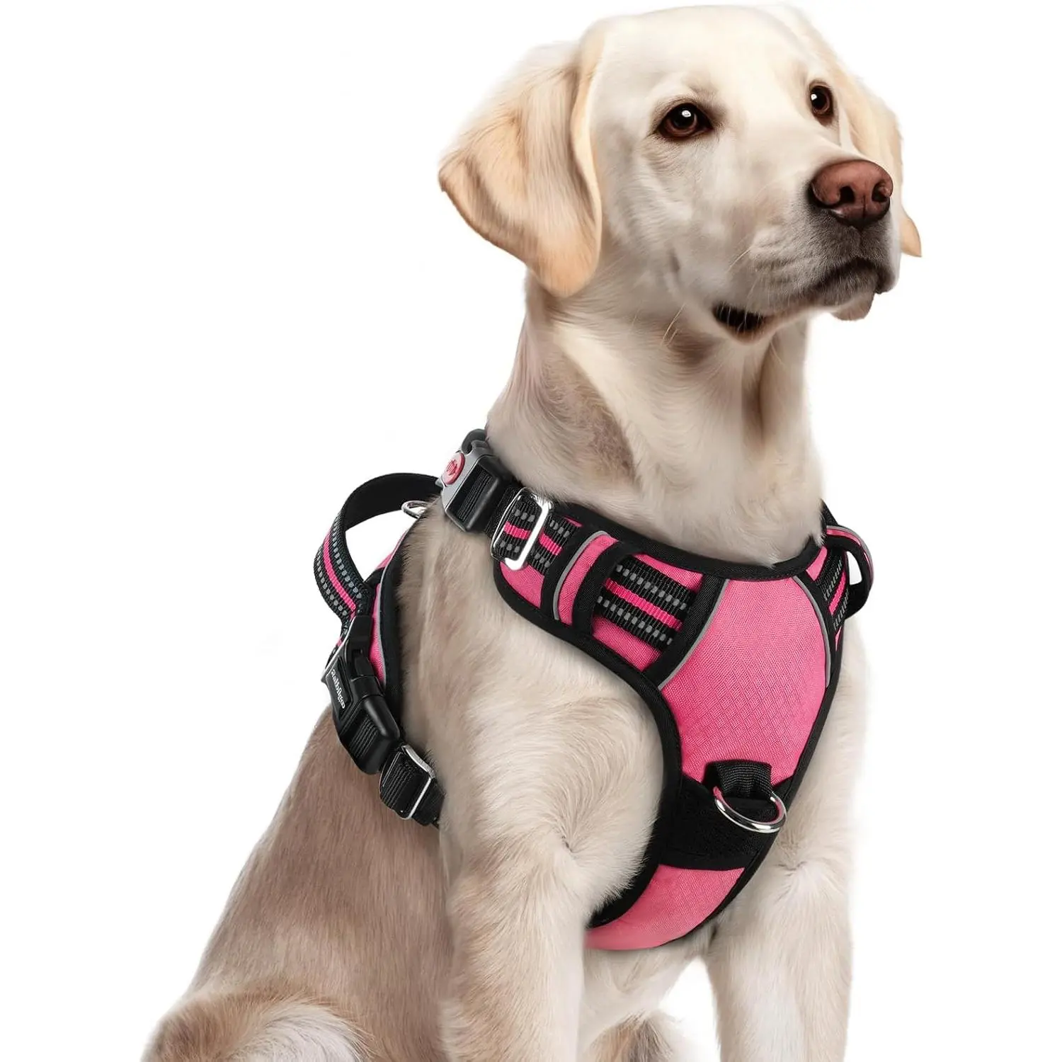 rabbitgoo Large Dog Harness - Easy-On/Off Buckles, No-Pull Soft Padded Vest with Control Handle, Adjustable Reflective Design, Bright Star at Night Visibility, Carry Assistance, Extra Control Option, Snug Fit, Pink, Size L