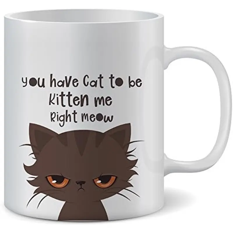 Funny Cat Coffee Mug, 11 oz Ceramic Cup with Cute Cat Saying, Gift for Cat Lovers Women Men