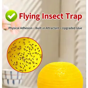 Fruit fly trap, small flying insect exterminator, indoor fly control device, kitchen midge sticky ball to attract flies