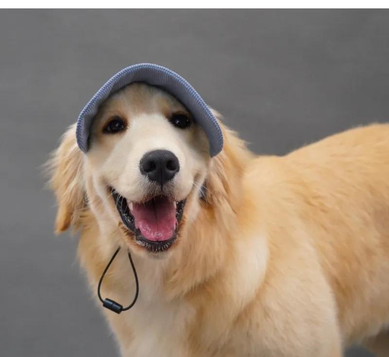 Pet Dog Cap with Ear Holes Adjustable String Dogs Cats Outdoor Peaked Cap Cat Summer Sport Hat For Puppy Small Medium Large Dogs