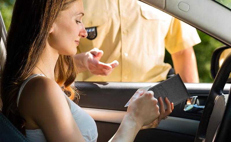 Car Registration & Insurance Card Holder, Magnetic Closure Vehicle Organizer, Car Essential Document Wallet, Spring Gift, for Pokemon Cards Holder, Compact Car Accessories, Essential for Owners