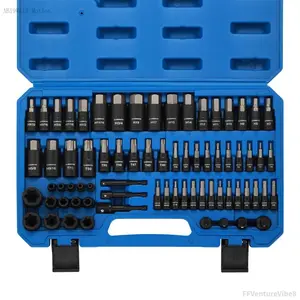 71-Piece Master Hex & Torx Bit Socket Set 1/4" 3/8" 1/2" Drive Metric SAE Hex Bit Sockets Star Bit Sockets T6 T70 E-Torx Sockets E4 E24 with Storage Case FFVentureVibe8AB19Wild Motion
