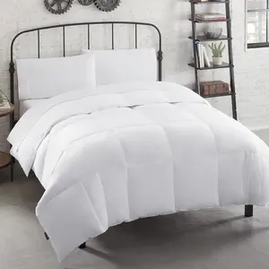 Soft and Natural Breathable Down Feather Fill Bedding Comforter Duvet Insert with 4 Corner Loops for All Season, Queen, White