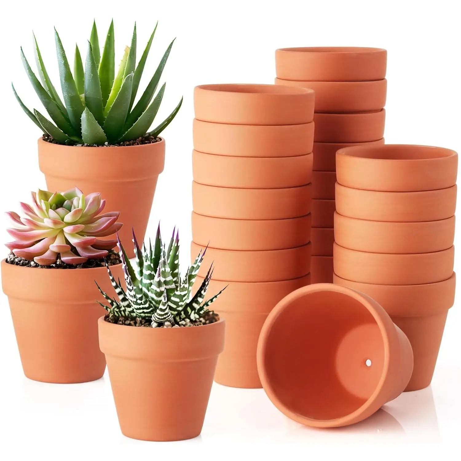 24 Pack 3 Inch Terracotta Pots, Mini Clay Pots with Drainage Holes,Cactus Flower Nursery Terra Cotta Pot for Indoor/Outdoor Succulent Plants, Crafts, Wedding FavorGift.