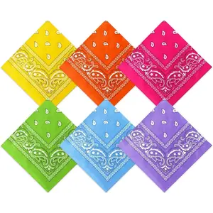 6 Pcs Neon Color Cowboy Bandanas for Men Women Assorted Paisley Pattern Handkerchiefs 22 x 22 Inch Kids Headwrap Scarfs