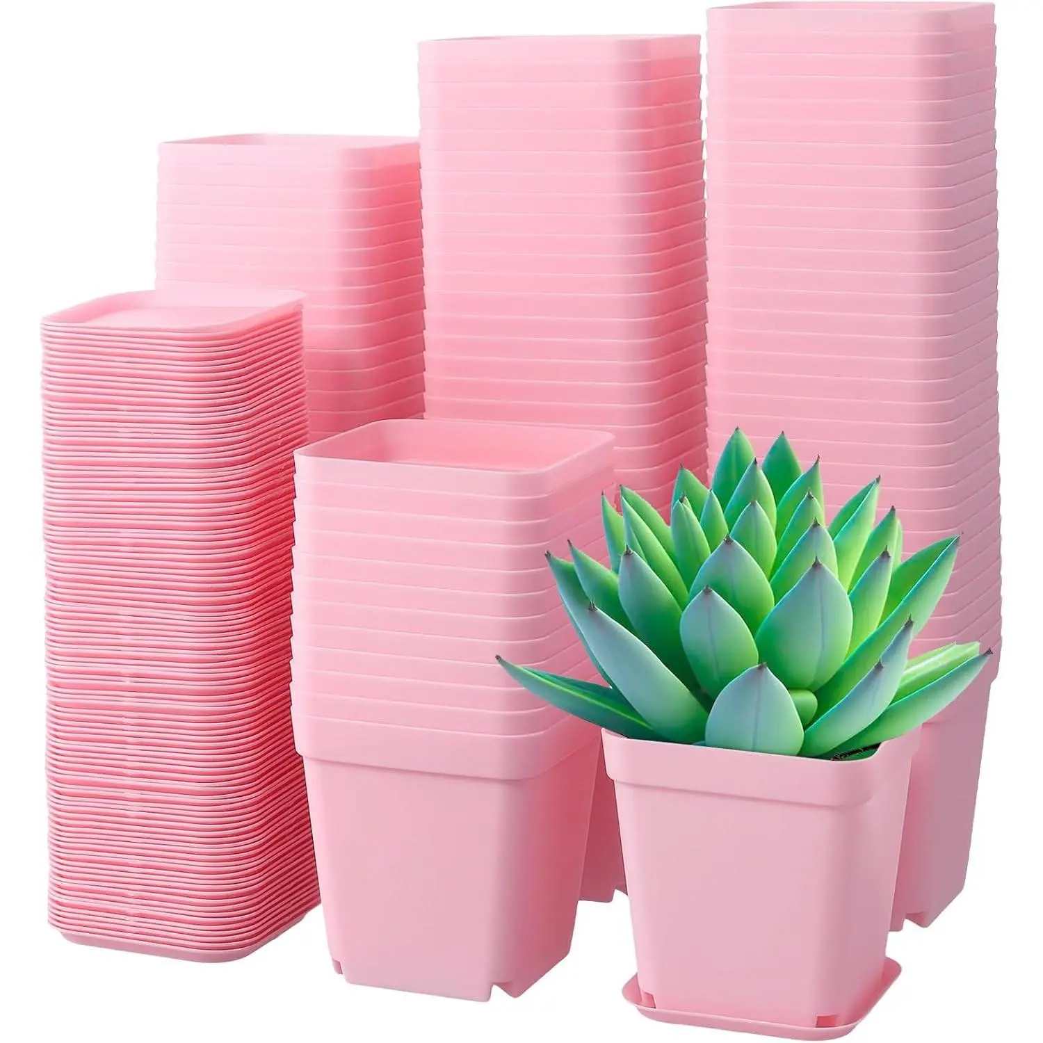 100 Pack 2.75 Inch Pink Square Nursery Pots, 7cm Thickened Plastic Plant Pots with Drain Holes and Trays, Small Square Planting Containers Bulk Set for Seedlings Flowers Tomatoes Basil