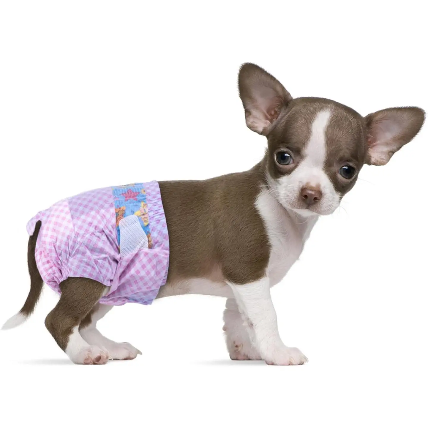Disposable Female Dog Diapers with Adjustable Elastic Waistline and Wetness Indicator for Female Dog or Cat in Heat Incontinence, XXS 40 Count