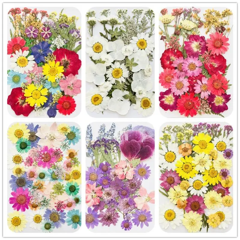 Pressed Blooms Dried Flower Sheet Pack - 1 Set-4pcs Decorative Kit with Mixed Hues, Vibrant Cornflowers, Soft Pastels, Elegant Whites for Resin Jewelry Making, DIY Crafts to Create Unique Designs
