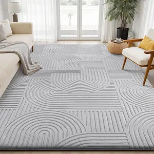 FAMVAL Luxury Thick Fluffy Area Rug, Machine Washable Non-Slip Large Size Carpet for Living Room Bedroom Nursery Dorm Kids Room Apartment