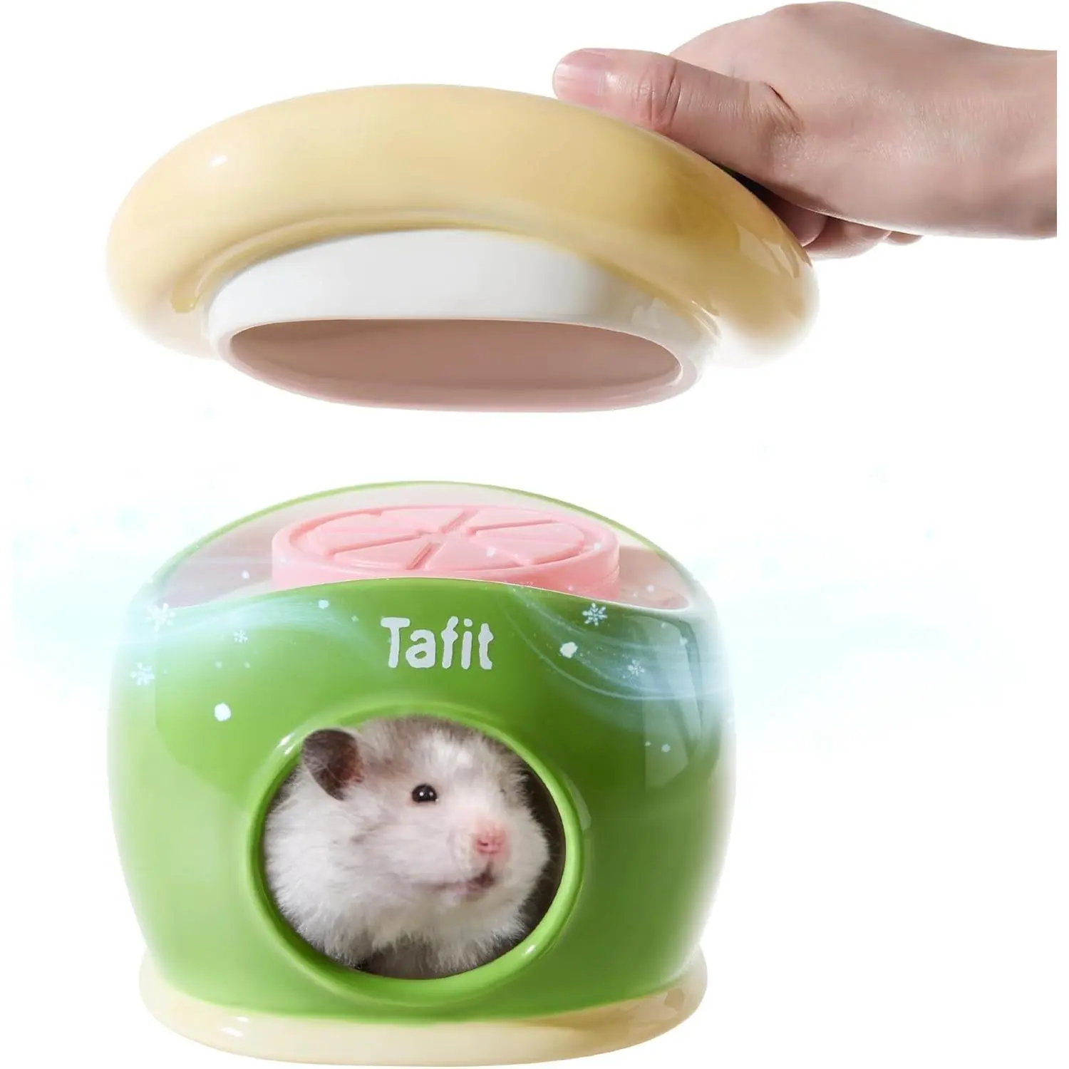 Ceramic Igloo Hamster Hideout - Green Small Animal Habitat Decor Hut for Syrian & Dwarf Hamsters, Gerbils, Mice, Rats - Four Seasons Home House
