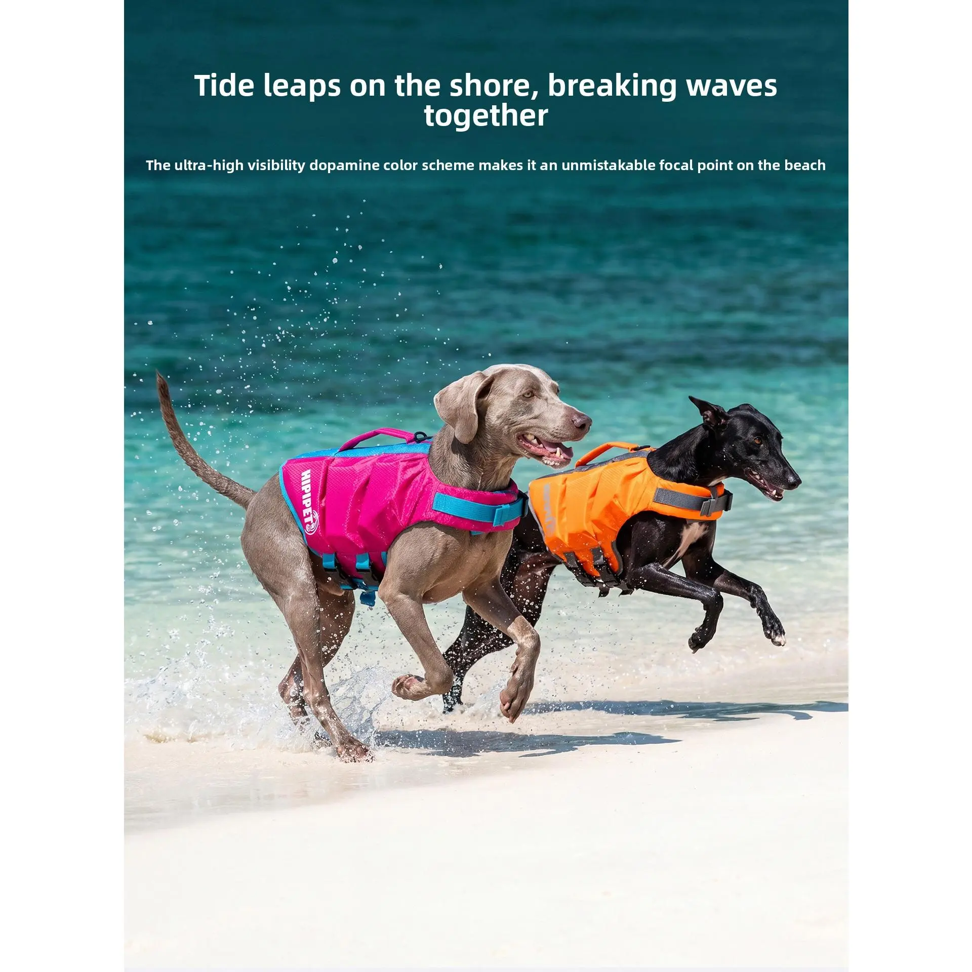 Dog Life Jacket - Pet High-Visibility Gear with Bright Contrast Colors, Ripstop Quick-Dry Fabric, Head Support, Enhances Visibility Water Safety Lifesaver for Pool, Lake Activities