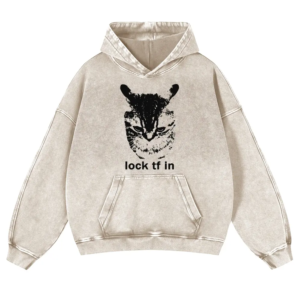 Lock TF In Cat Graphic Hoodie, Funny Gen Z Meme Hoodie Y2K 380g Autumn VIntage Washed Hoodie Graphic Sweatshirt
