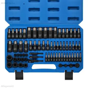 71-Piece Master Hex & Torx Bit Socket Set 1/4" 3/8" 1/2" Drive Metric SAE Hex Bit Sockets Star Bit Sockets T6 T70 E-Torx Sockets E4 E24 with Storage CaseAEleganza22AB19Wild Motion