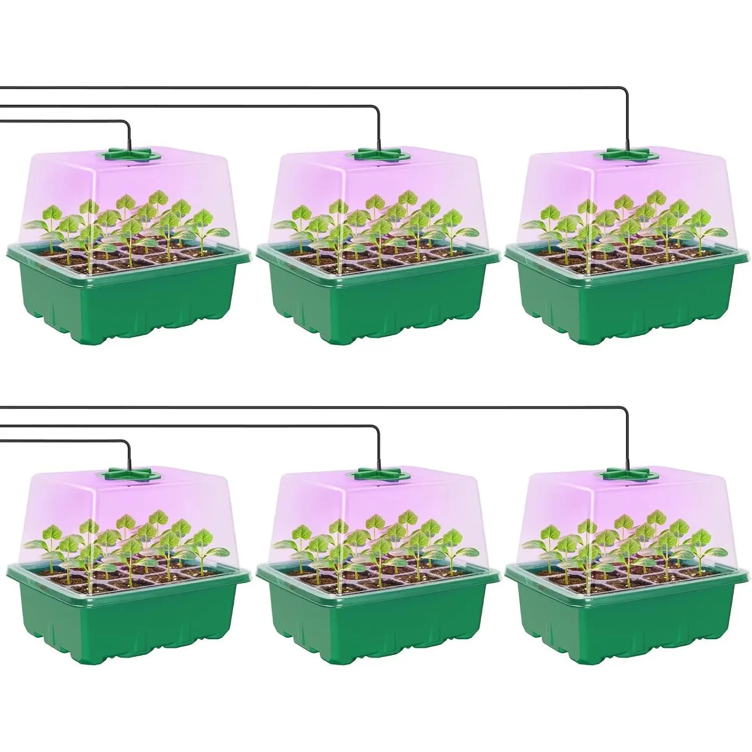 Seed Starter Kit with Grow Light, Elevated Seedling Tray Kit with Adjustable Humidity Dome and Clear Cell Tray, 12 Full Spectrum Led Beads for Seed Starting Greenhouse, 6 Pack, Green