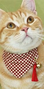 PetSoKoo Cute Bowtie Cat Collar with Bell. Japanese Stylish Bowknot & Fish Charm. Safety Breakaway, Soft, Lightweight, for Girl Boy Male Female Cats Kitten,Green