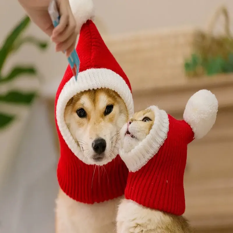 Knitted Dog Winter Hat with Earmuffs – Cozy Pet Christmas Costume & Cold Weather Gear for Small to Medium Dogs