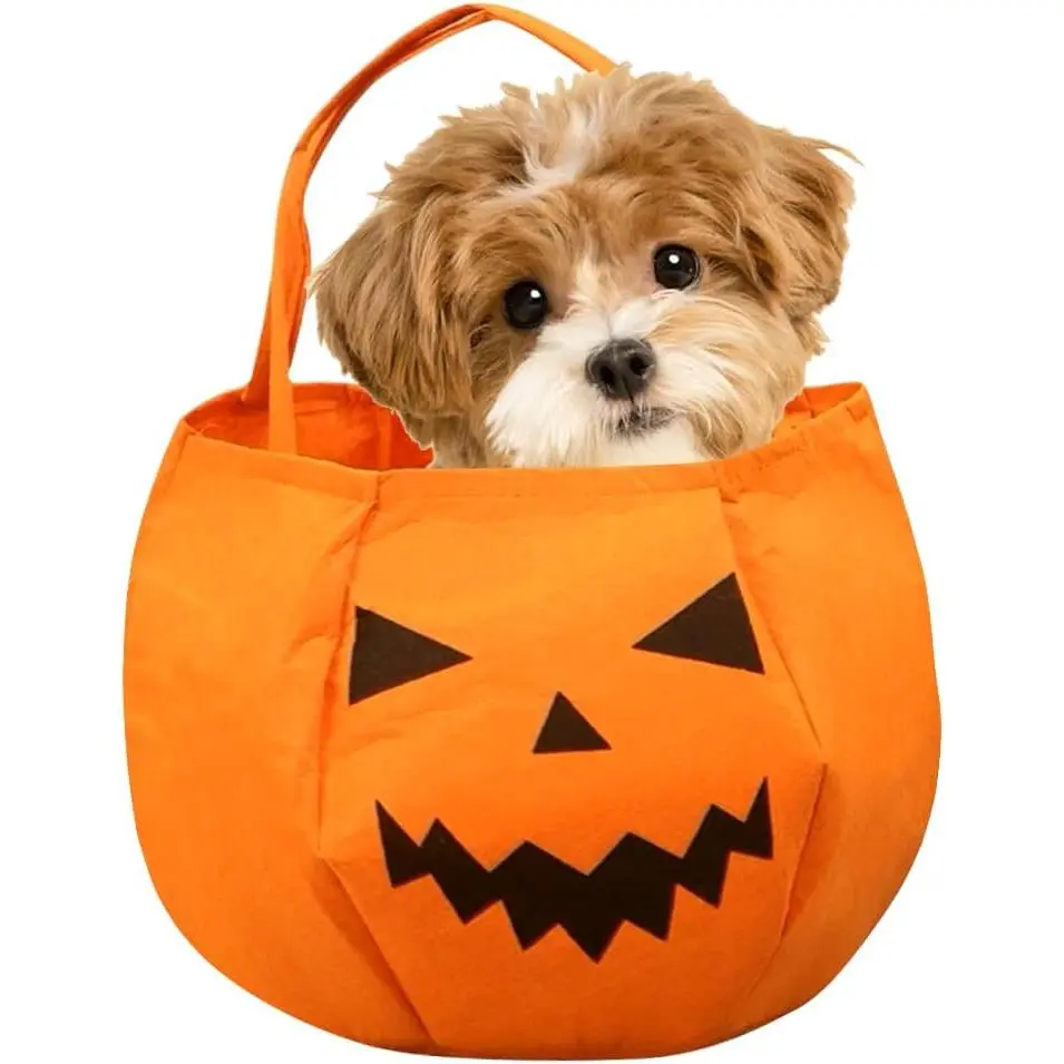Halloween Candy Bucket, Halloween Pumpkin Candy Bags for , Trick or  Tote & Candy Basket, Pumpkin Handbag.   for Halloween Party Decorations (Large Pumpkin)