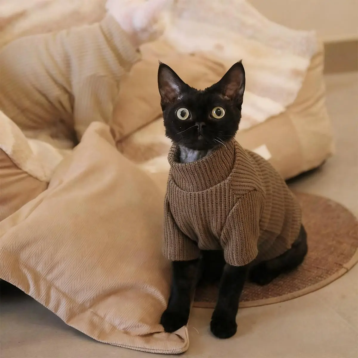 Cute Furry Cat Sweater, Soft Stretchy Pullover with Lambskin Buttons, Warm Jacket for Sphynx Cats, Autumn Winter Pajamas, Cozy Pet Clothing