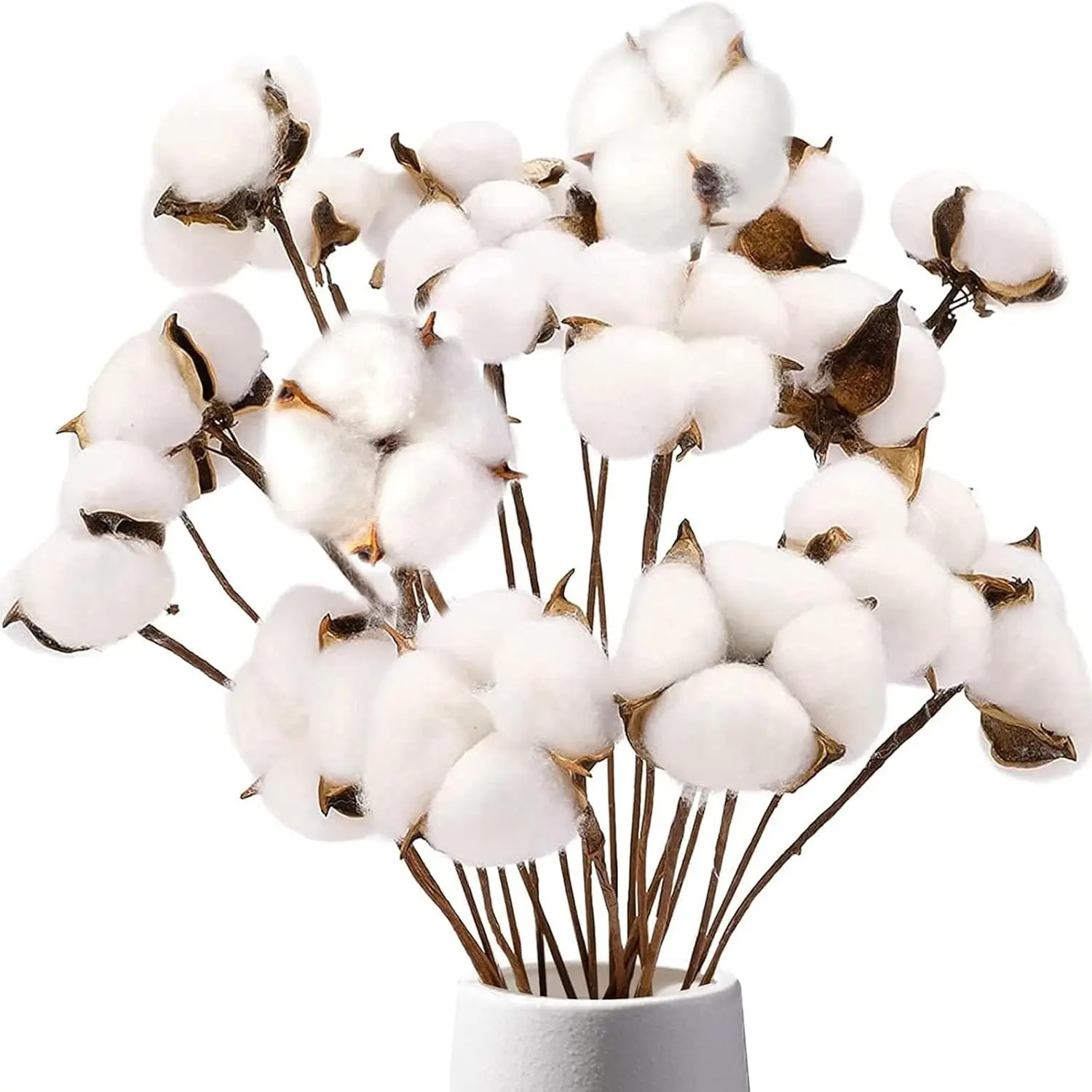 Cotton Stems 8 Packs with 15 Bolls, Natural Dried Flowers Cotton Sprigs for Vase Fillers and Floral Arrangements - Fall Decorations and DIY Crafts