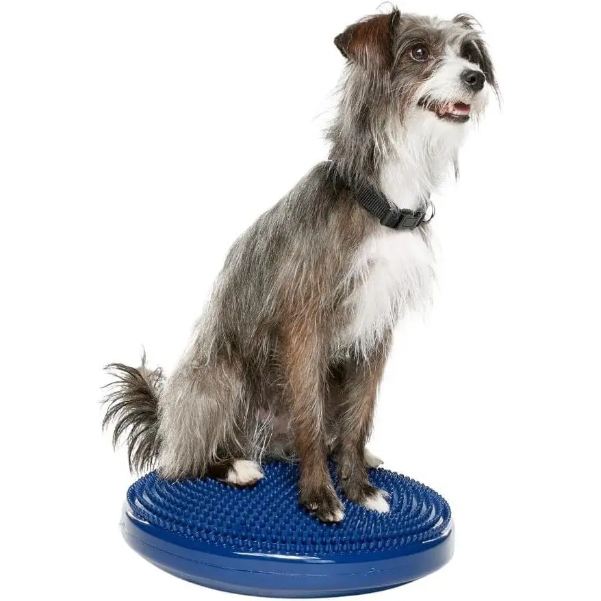 Dog Balance Disc – 14”, Blue | Dog Exercise Equipment | Workout Tool for Strength, Core, Stability & Rehabilitation
