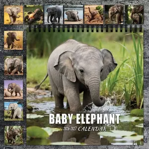 2026-2027 Cute Little Elephant Themed Foldable Wall Calendar Planner, designed with 12-month large grids, includes a monthly picture and cover, perfect for home, office, and daily organization, and an excellent choice for Christmas and New Year gifts.