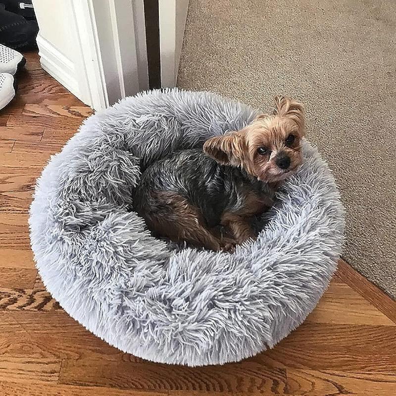 Cute Plush Dog Bed, Washable, Suitable for Small Dogs, 19 Inches, Anxiety-reducing Puppy Bed, Suitable for Dogs Weighing No More Than 15 Pounds.