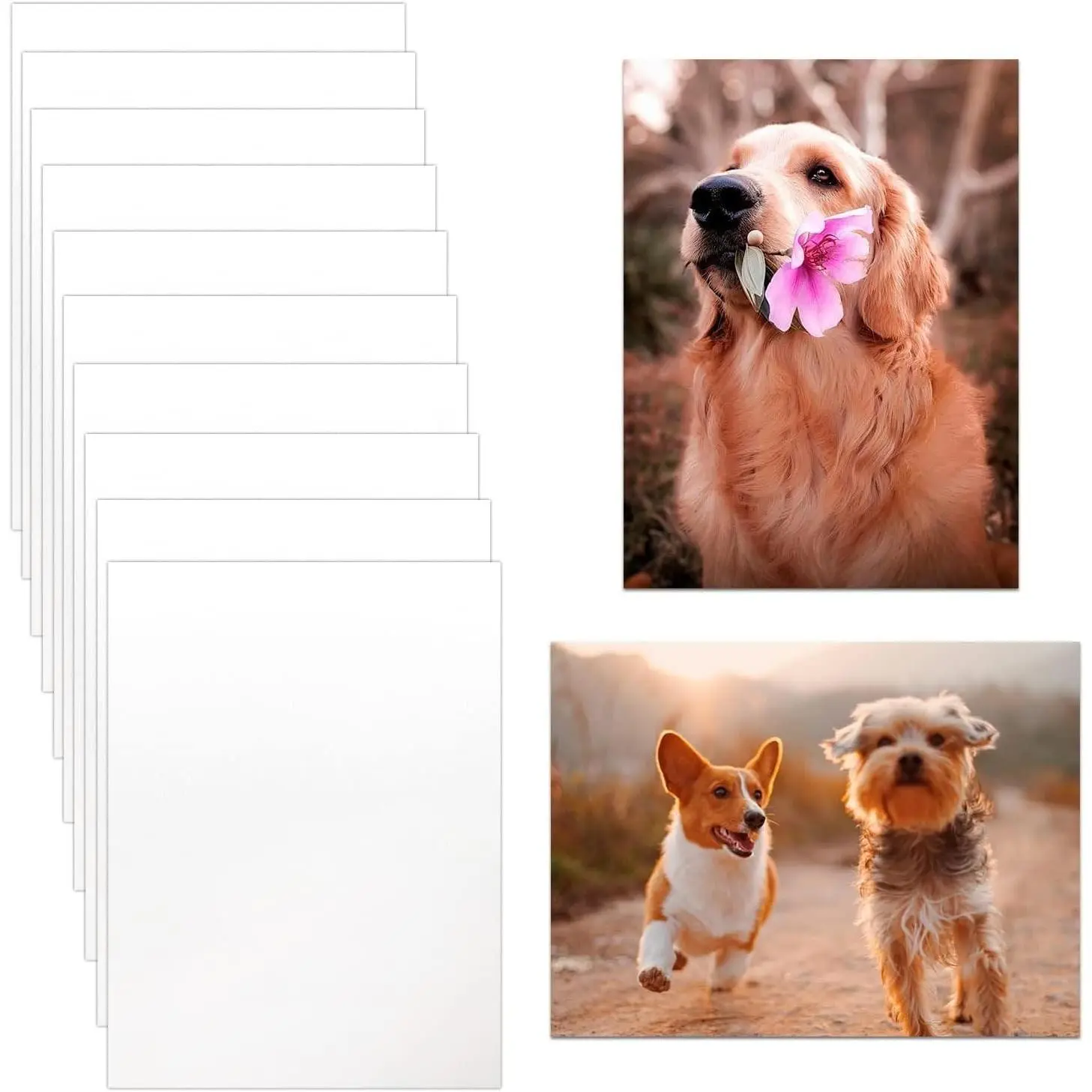 10 Pack Sublimation Metal Blanks, 8x10 Photo Sign Blanks | 0.45mm Thicker Aluminum, Vibrant& Fade-Resistant Printing Effect for DIY Photo, Poster, Home Decor & Personalized Present