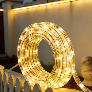 LED Rope Light, 20Ft LED Strip Lights Outdoor Waterproof Decorative Lighting for Indoor/Outdoor Decorations, Deck, Patio, Party and Bedroom Decorations (Wram White)fidget toys