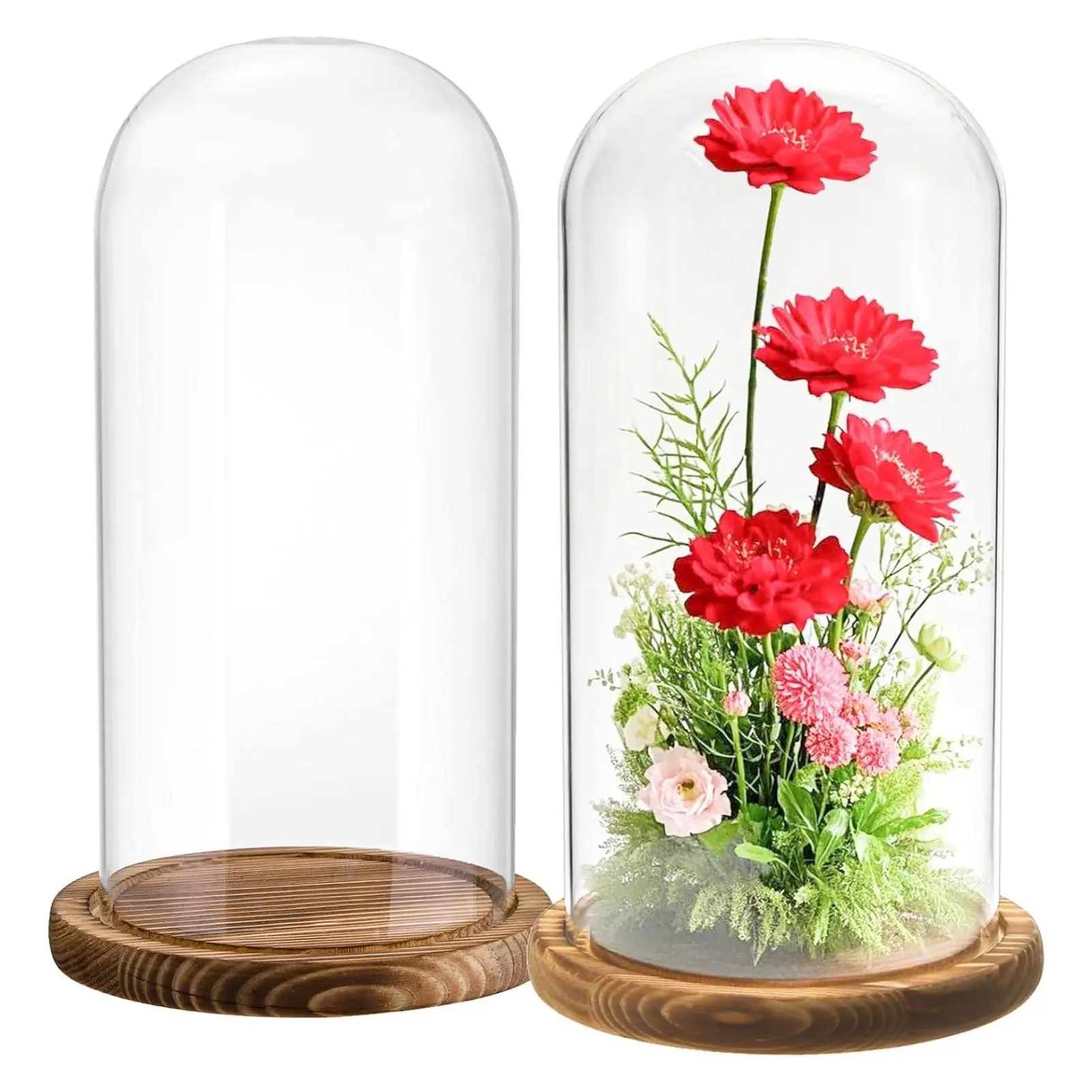 2 Pack 10 Inch Glass Cloche Display Dome with Dark Brown Wooden Base - Clear Decorative Bell Jar Showcase for Plants, Medals, Photos, Antique Collectibles, Mother's Day GiftGift