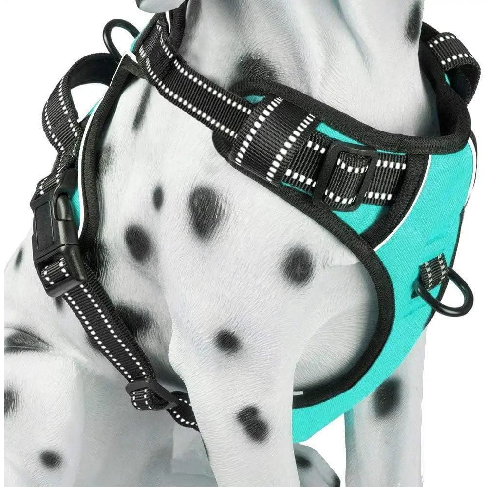 No Pull Oxford Mesh Dog Harness for Hiking, Hunting, Training - Customized Multi-Size Adjustable Soft Padded Vest, Reflective Stitching, 2 Front & Back Leash Attachments, Easy Control Handle for Small Medium Large Dogs (Mint Blue, M), Harnesses
