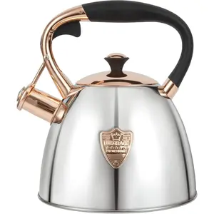 Silver-Go 2.9 Quart Stainless Steel Whistling Tea Kettle for Stovetop, Silver