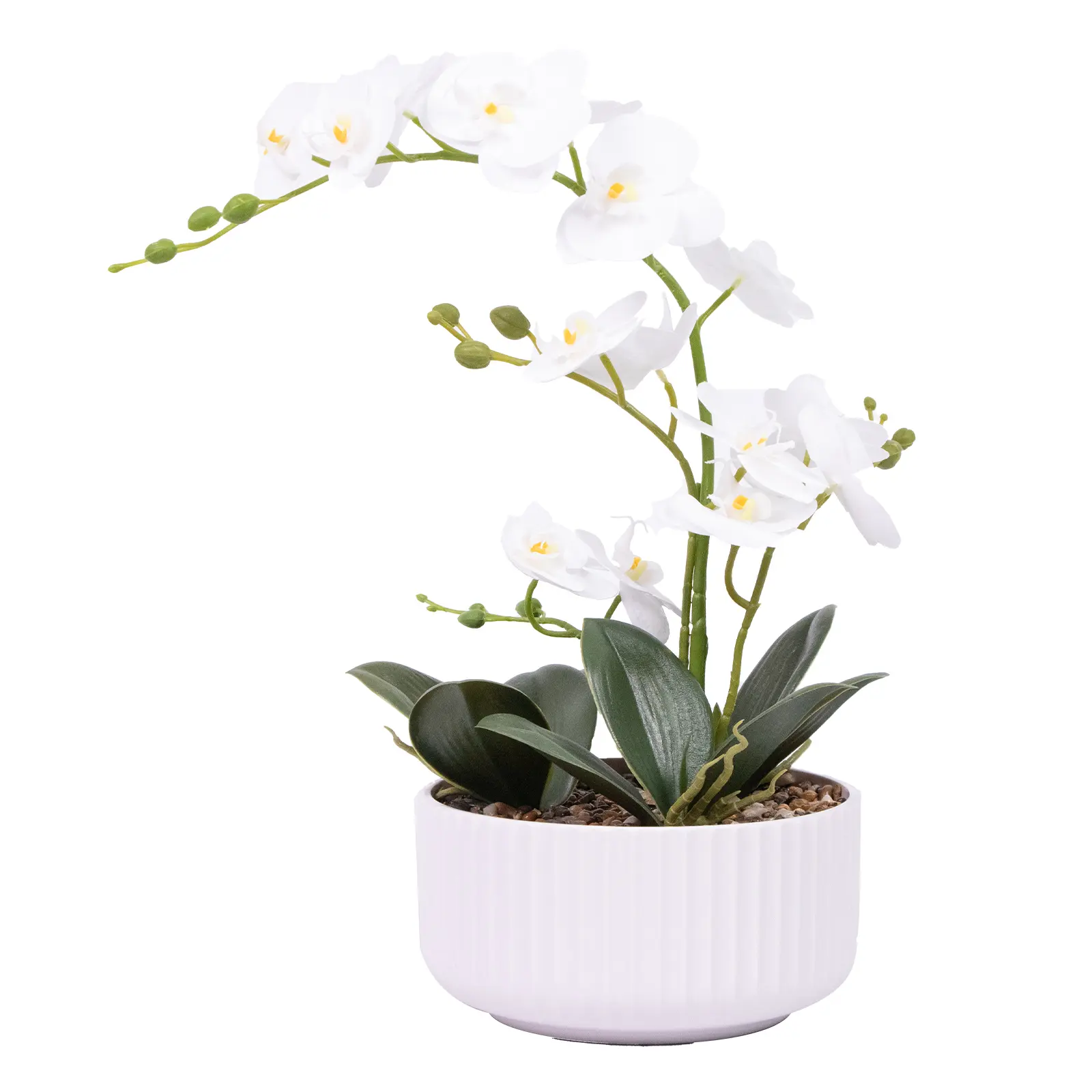 19in Faux Orchid Plant Artificial Phalaenopsis in Plastic Pot Realistic Fake Flowers for Indoor Home Decor Table Centerpiece No Maintenance