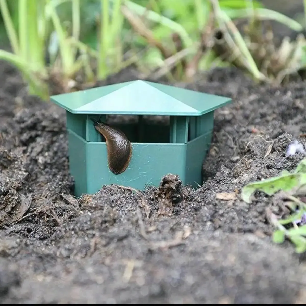 Durable Snail & Slug Trap Box - Thickened Anti-Corrosion Design for Indoor/Outdoor Use, Protects Garden Vegetables and Flowers, Made of Sturdy Plastic, No Electricity Needed