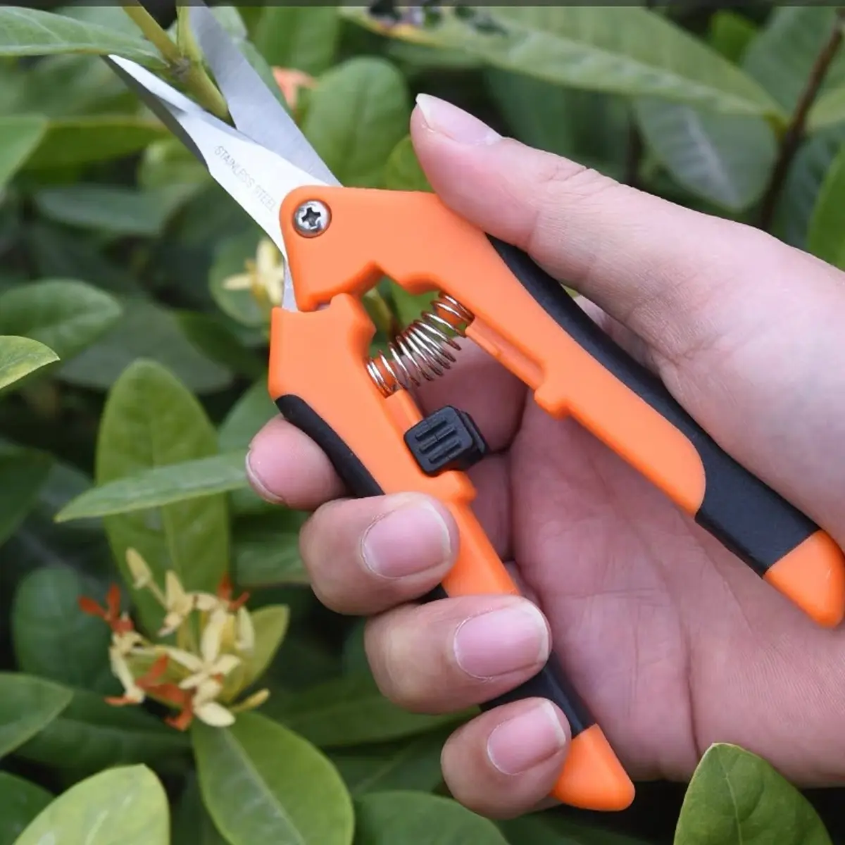 1Pack Stainless Steel Grape Picking Shears, Labor Saving Pruning Scissors for Flower Fruit Tree, Household Garden Trimming Clippers