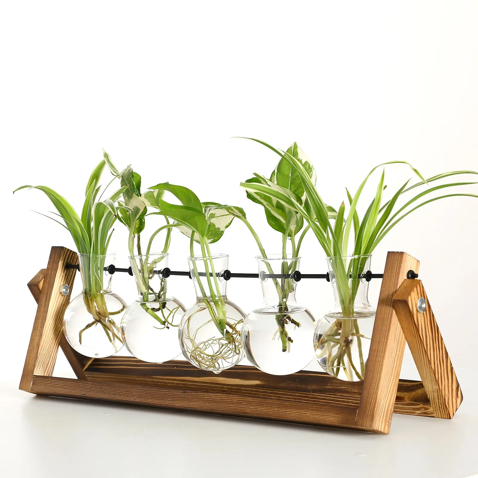 5 Piece Glass Vase Set with Wooden Stand, Glass Vases for Centerpieces, Air Fern Holder, Ideal for Succulents, Moss, Cacti, Perfect Gift for Plant Lovers, Modern Home Decor, Decorative Vase