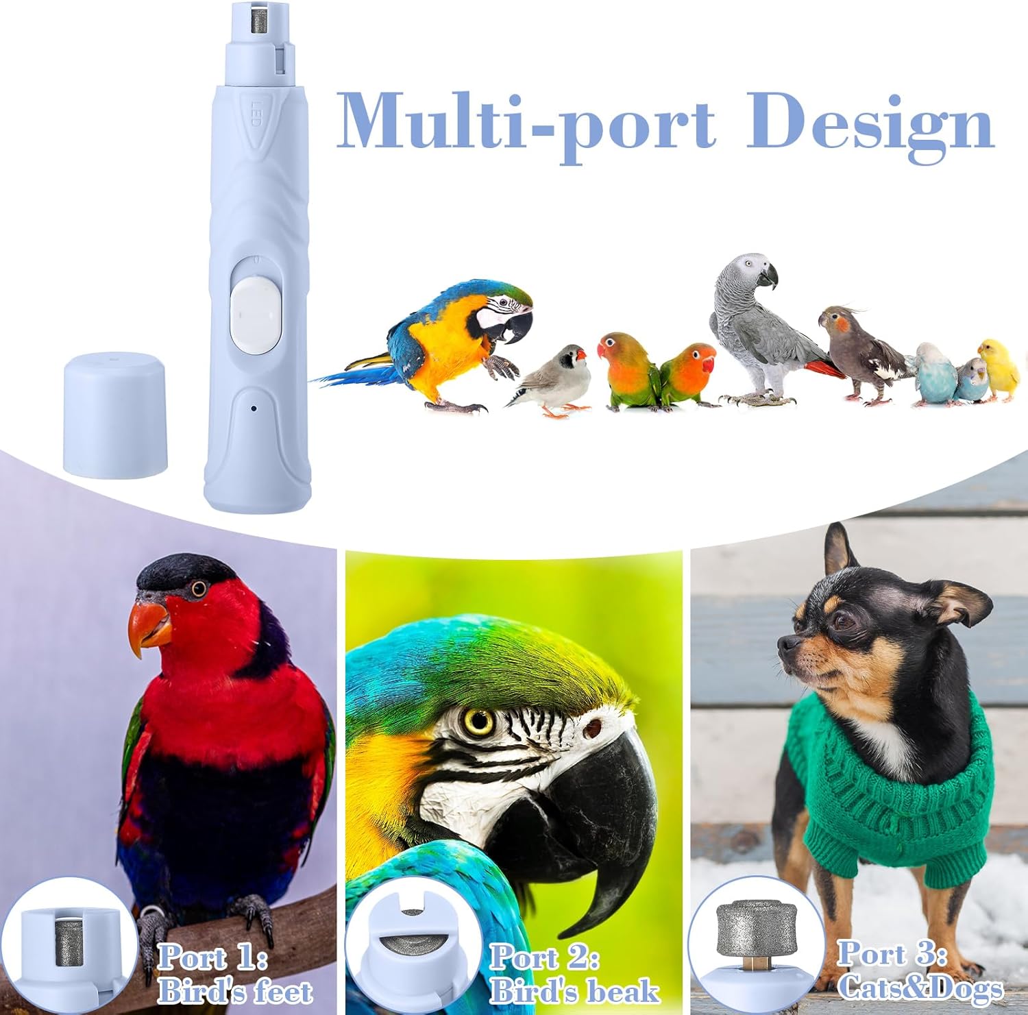 2 Pcs Bird Nail Grinder with Bird Nail Clipper Bird Nail Trimmer Bird Nail File with LED Lamp Grooming Tool for Bird Parrot Budgerigars Parakeets Myna Conure Parakeets Finches Lovebirds 2 Pcs Bird Nail Grinder with Bird Nail Clipper Bird Nail Trimmer Bird Nail File with LED Lamp Grooming Tool for Bird Parrot Budgerigars Parakeets Myna Conure Parakeets Finches Lovebirds
