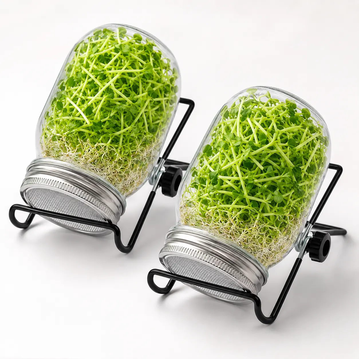2-Pack Seed Sprouter Kit - Wide Mouth Glass Jars with Stainless Steel Mesh Lids and Draining Stands for Indoor Sprouting, Glass Jar, Seed Growth, Two Packs